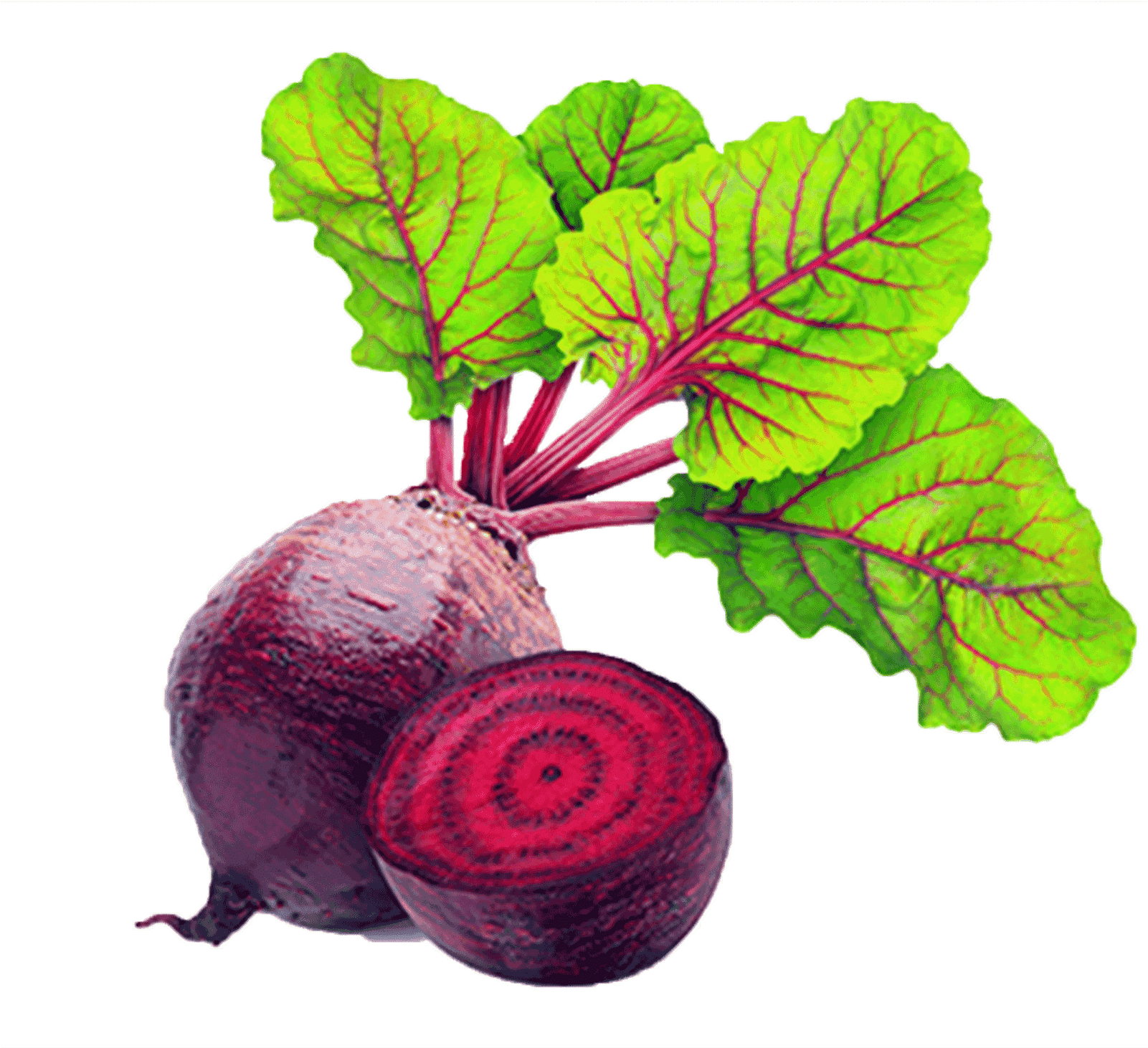 beetroot