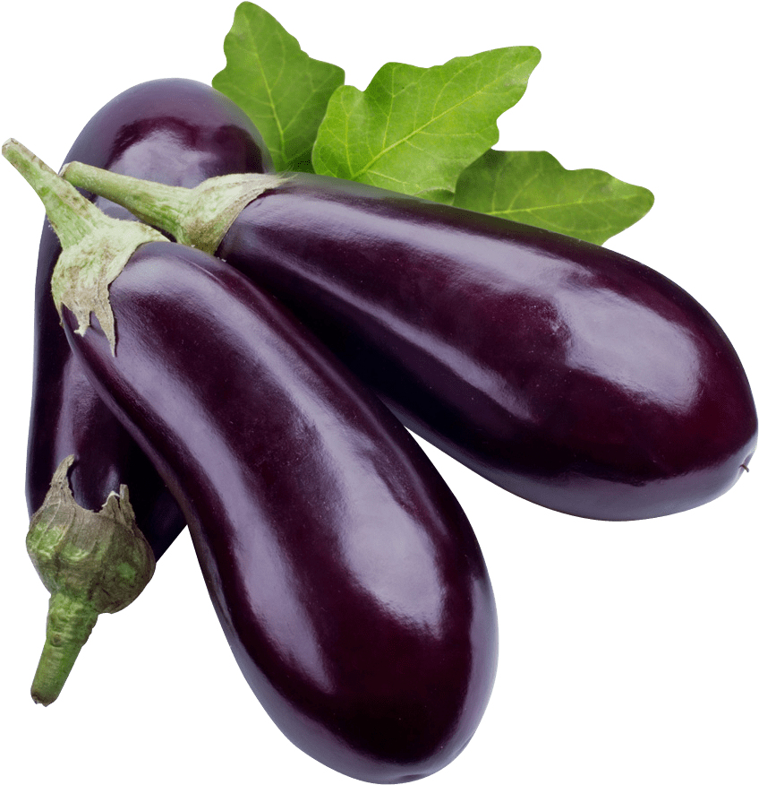 brinjal