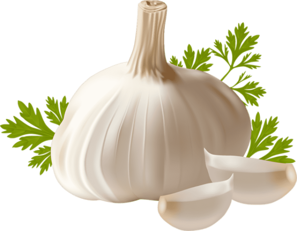 garlic